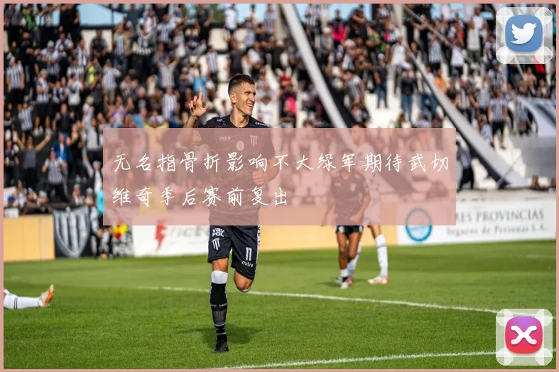 无名指骨折影响不大绿军期待武切维奇季后赛前复出