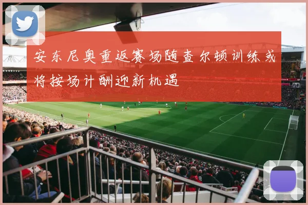 安东尼奥重返赛场随查尔顿训练或将按场计酬迎新机遇