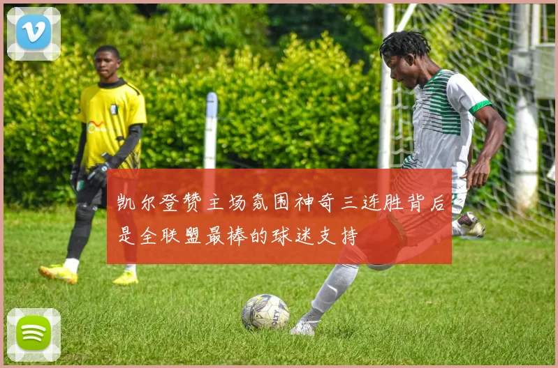 凯尔登赞主场氛围神奇三连胜背后是全联盟最棒的球迷支持